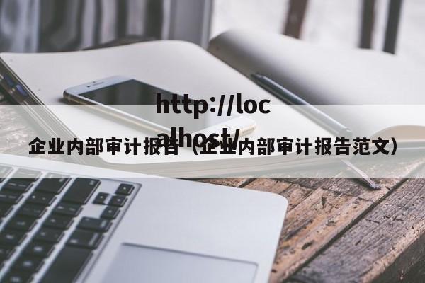 企业内部审计报告(企业内部审计报告范文)